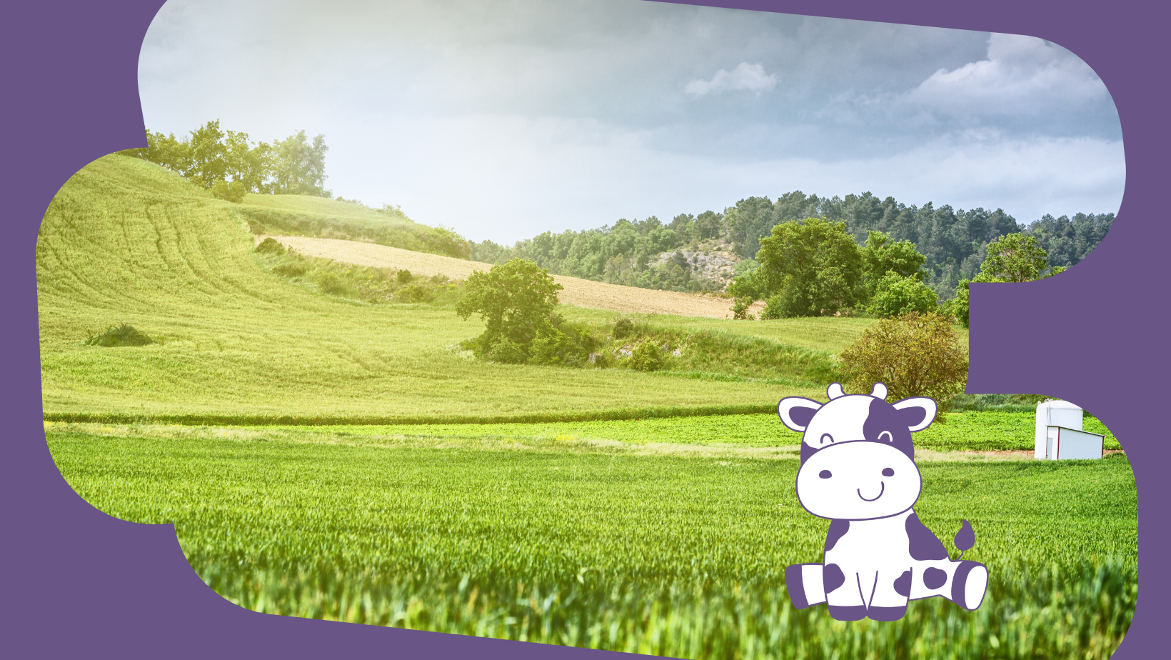 Polly the Purple Cow: A Tale of Health, Happiness, and Farming Adventures