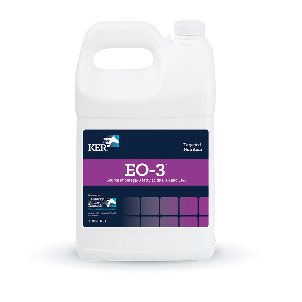 EO.3 - 3.78L