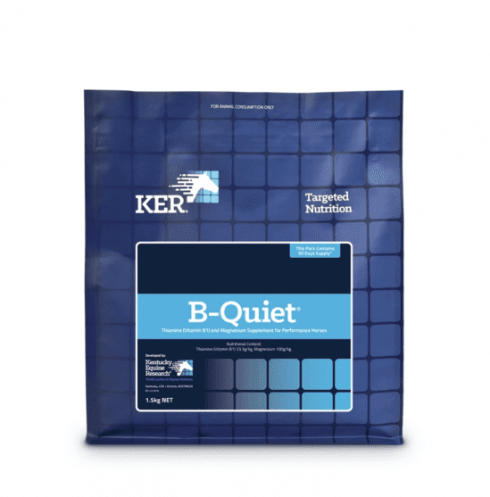 B-Quiet Powder - 1.5kg