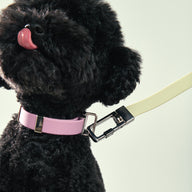 Frank Green Pet Lead - Midnight
