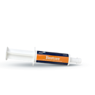 Restore Paste